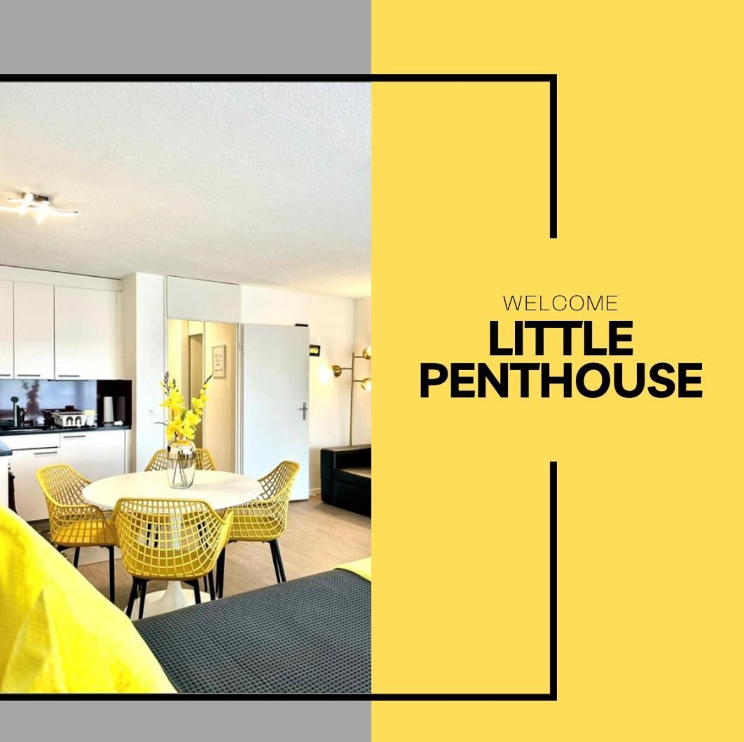 Ferienwohnung Little Penthouse **** Dietikon Exterior foto
